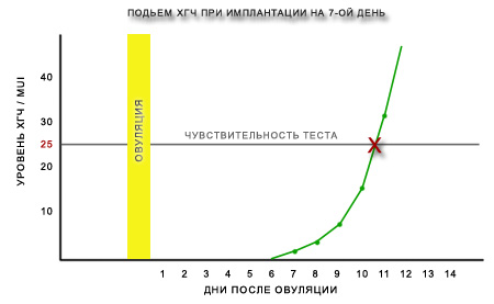 рост гормона ХГЧ рост гормона ХГЧ